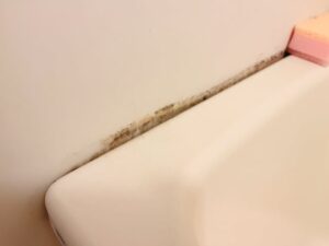 カビや水垢を落としたい