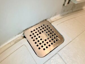 排水口のニオイ・ヌメリ
が気になる